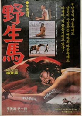 野生馬